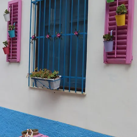 Ciclamino Holiday home Acquedolci